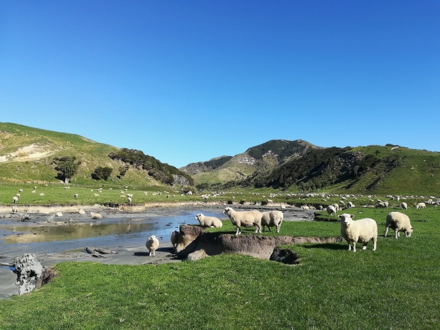 ホームページ修正